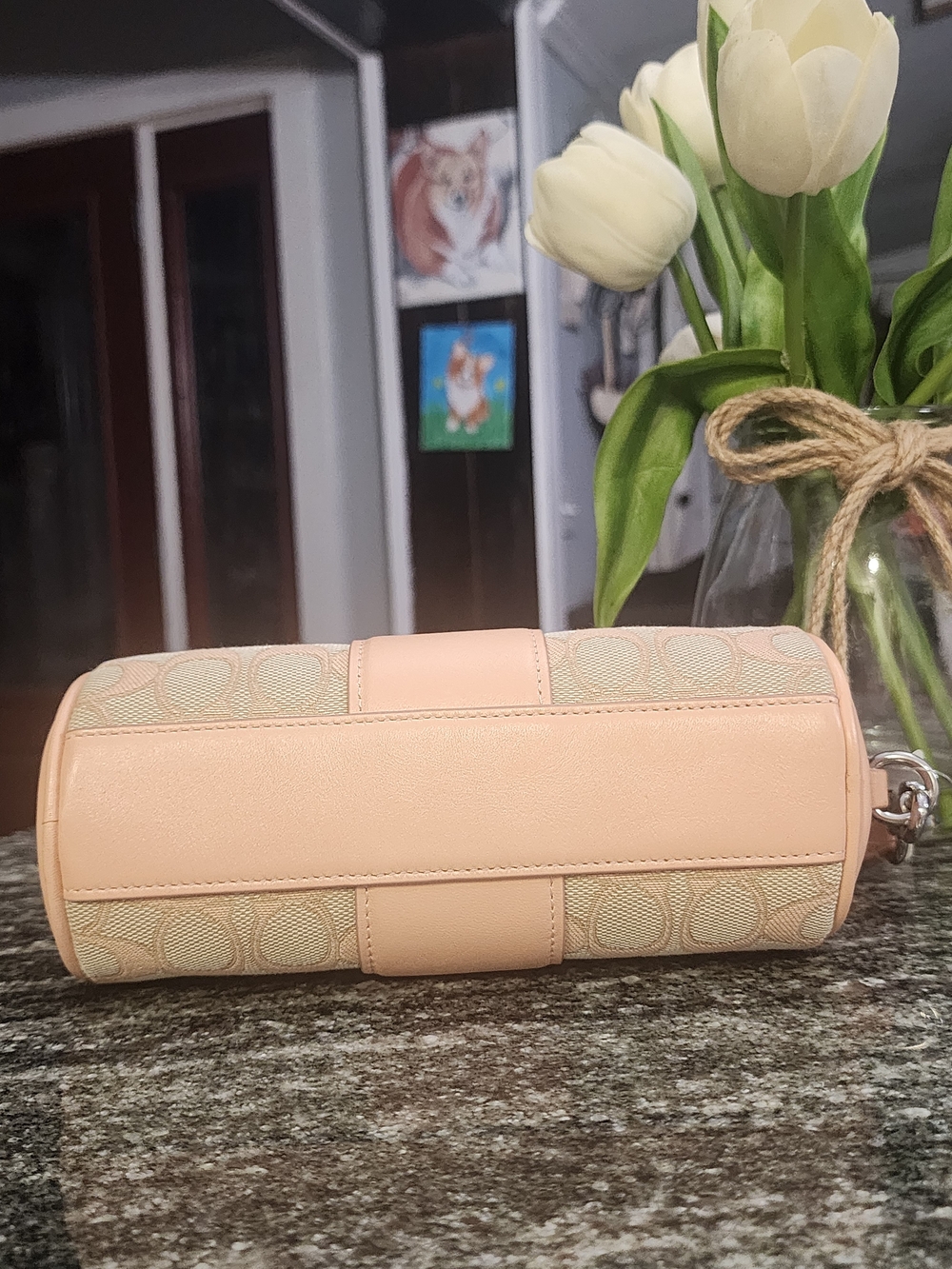 Coach Nolita Barrel Bag Signature Jacquard Faded Blush-NWT - Picture 5 of 7